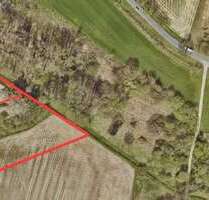 Grundstück in Belm 750.000,00 € 12012 m²