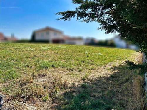 Foto - Grundstück zu verkaufen in Berg im Gau 265.500,00 € 885 m²