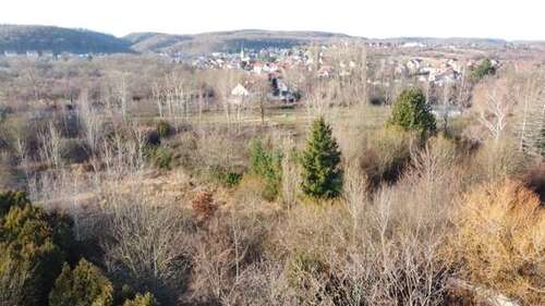 Foto - Grundstück zu verkaufen in Quedlinburg OT Gernrode 125.000,00 € 10590 m²