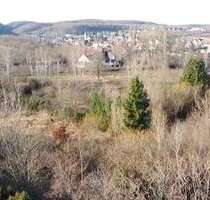 Grundstück zu verkaufen in Quedlinburg OT Gernrode 125.000,00 € 10590 m² - Quedlinburg OT Gernrode