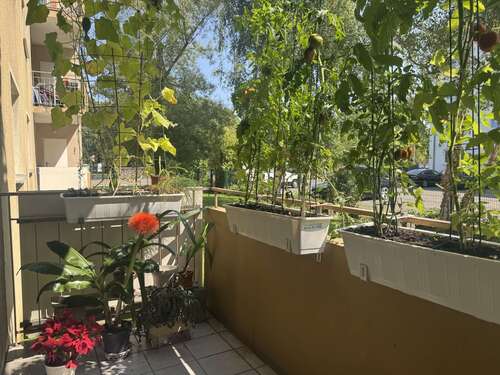 Foto - Wohnung zum Mieten in Hanau 859,00 € 74 m²