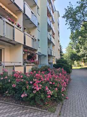 Foto - Wohnung zum Kaufen in Chemnitz 60.200,00 € 68.89 m²