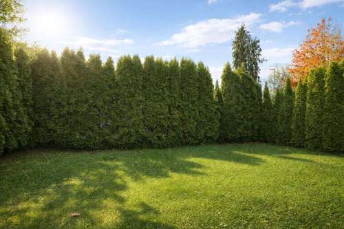 Foto - Wohnung zum Kaufen in Meerbusch Osterath 459.000,00 € 99.34 m²