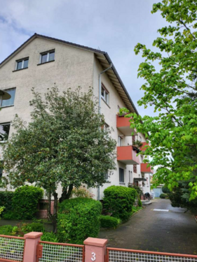 Foto - Wohnung zum Mieten in Blankenloch-Stutensee 795,00 € 43 m²