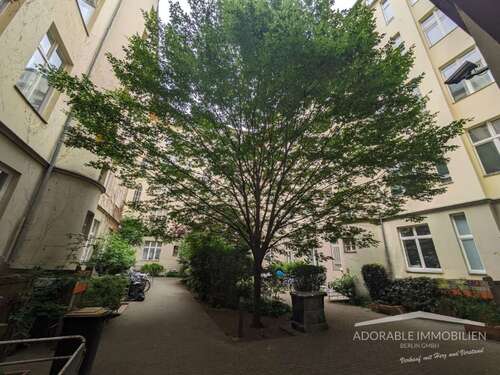 Foto - Wohnung zum Kaufen in Berlin 549.000,00 € 100 m²