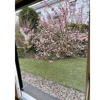 Wohnung zum Mieten in München 3.000,00 € 92 m²