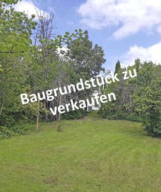 Foto - Grundstück zu verkaufen in Leinfelden-Echterdingen 730.000,00 € 780 m²