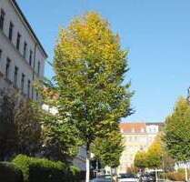 Wohnung zum Kaufen in Leipzig 399.000,00 € 104.16 m²