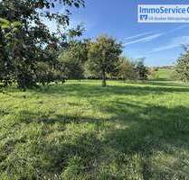 Grundstück in Lauf an der Pegnitz 40.000,00 € 11156 m²