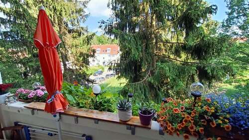 Foto - Wohnung zum Mieten in Chemnitz 232,00 € 50.57 m²