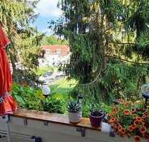 Wohnung zum Mieten in Chemnitz 232,00 € 50.57 m²