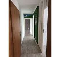 Wohnung zum Mieten in Neumünster 530,00 € 53 m²