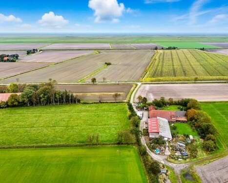 Foto - Spezialgewerbe in Hagermarsch 490.000,00 €