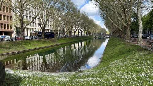 Foto - Einzelhandel in Düsseldorf 765,00 € 40 m²
