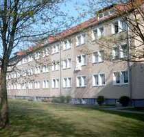 Wohnung zum Mieten in Franzburg 262,00 € 47.5 m²