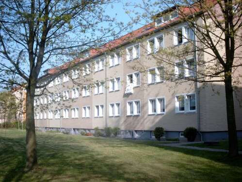 Foto - Wohnung zum Mieten in Franzburg 333,00 € 47.5 m²