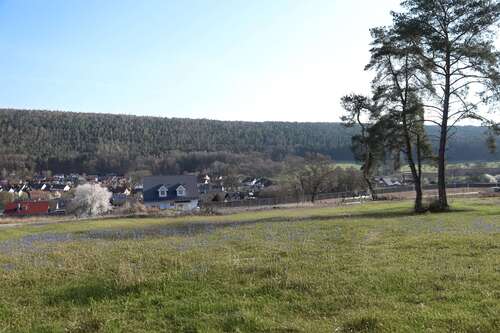Foto - Grundstück zu verkaufen in Lohr am Main 177.920,00 € 556 m²