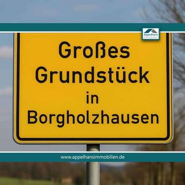 Foto - Grundstück zu verkaufen in Borgholzhausen 219.000,00 € 1195 m²