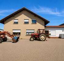 Haus zum Kaufen in Brakel Gehrden 430.000,00 € 231 m² - Brakel / Gehrden