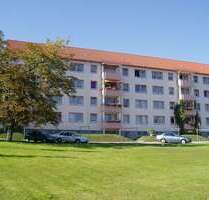 Wohnung zum Mieten in Stollberg 260,00 € 56.2 m²