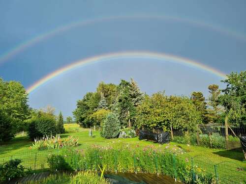 Foto - Haus zum Kaufen in Herzberg 164.000,00 € 110 m²