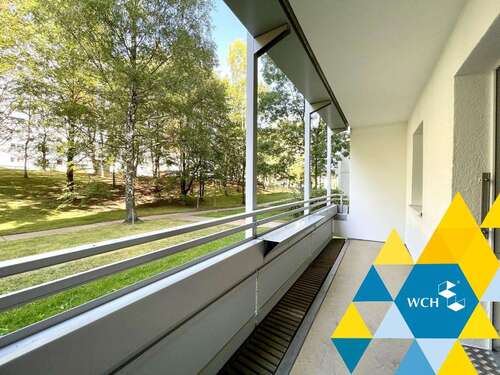 Foto - Wohnung zum Mieten in Chemnitz 190,00 € 35.82 m²