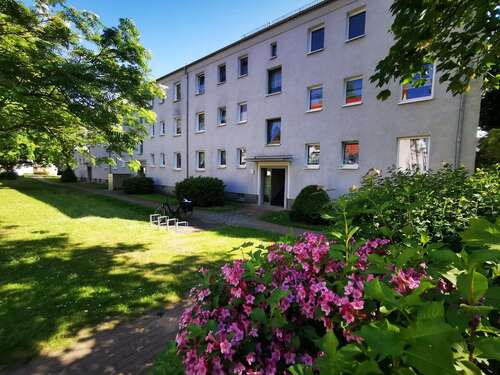 Foto - Wohnung zum Mieten in Güstrow 400,00 € 61 m²