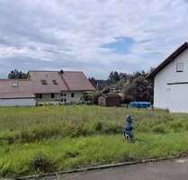 Grundstück zu verkaufen in Syrgenstein 210.000,00 € 981 m²