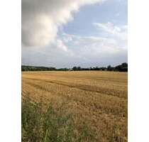 Haus zum Kaufen in Wentorf AS (Amt Sandesneben) 795.000,00 € 374 m²