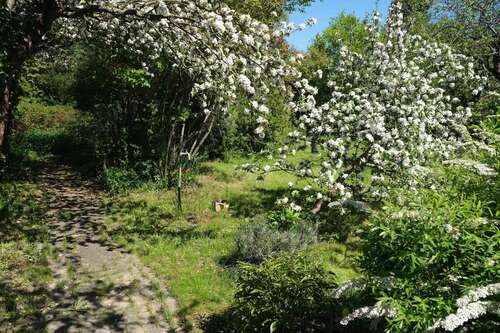 Foto - Grundstück zu verkaufen in Panketal 249.000,00 € 698 m²