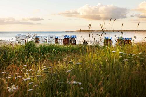 Foto - Wohnung zum Kaufen in Hohen Wieschendorf 649.000,00 € 117.02 m²