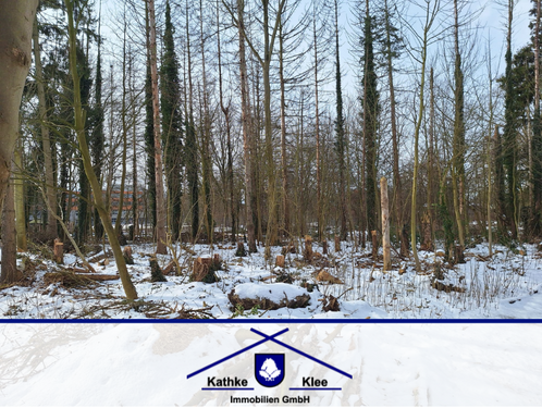 Foto - Grundstück zu verkaufen in Bremen 899.000,00 € 7500 m²