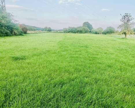 Foto - Grundstück zu verkaufen in Grünheide Ortsteil Kagel 85.000,00 € 995 m²