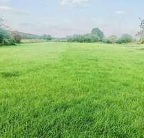 Grundstück zu verkaufen in Grünheide Ortsteil Kagel 85.000,00 € 995 m²