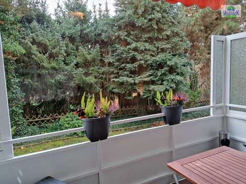 Foto - Wohnung zum Kaufen in Schöppenstedt 49.500,00 € 45 m²