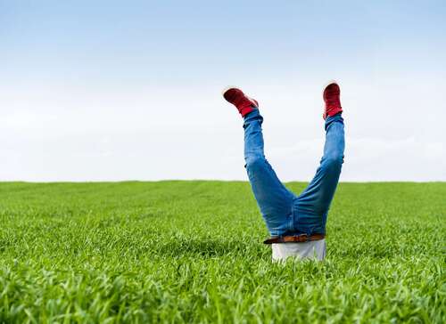 Foto - Grundstück zu verkaufen in Heusenstamm 750.000,00 € 750 m²