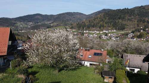 Foto - Grundstück zu verkaufen in Bühlertal 195.000,00 € 589 m²