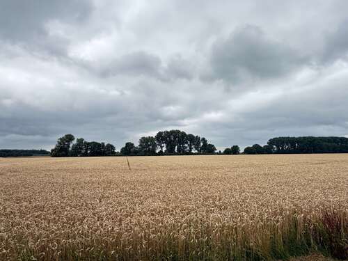 Foto - Grundstück zu verkaufen in Kevelaer 300.000,00 € 21458 m²