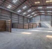 Halle in Sieverstedt 450,00 € 800 m²
