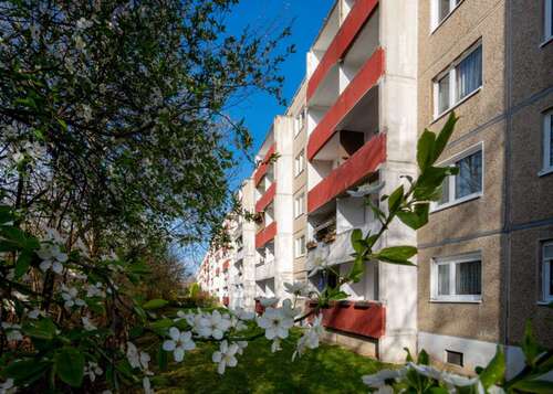 Foto - Wohnung zum Mieten in Halle (Saale) 300,00 € 56.65 m²