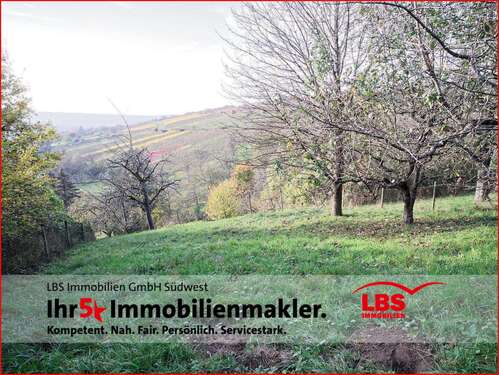 Foto - Grundstück zu verkaufen in Keltern 30.000,00 € 1500 m²
