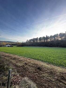 Foto - Haus zum Kaufen in Weissach-Flacht 589.000,00 € 138.63 m²