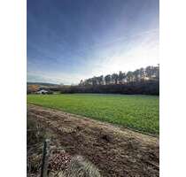 Haus zum Kaufen in Weissach-Flacht 589.000,00 € 138.63 m²