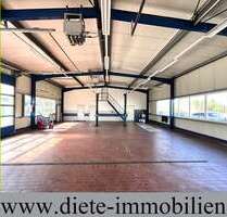 Halle in Augustdorf 2.600,00 € 290 m²