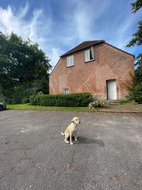 Foto - Haus zum Kaufen in Tetenbüll 377.000,00 € 170 m²