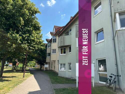 Foto - Wohnung zum Mieten in Salzmünde Schiepzig 230,00 € 21 m²