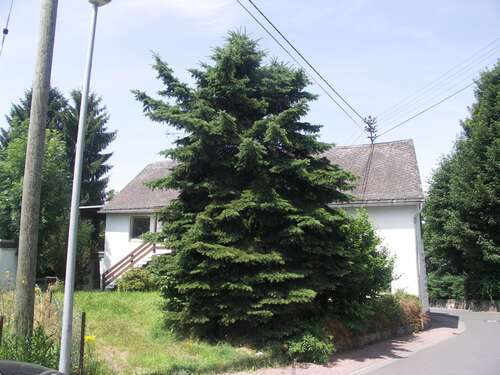 Foto - Wohnung zum Mieten in Breitenau 1.150,00 € 284 m²