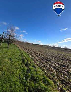 Foto - Haus zum Kaufen in Visbek Rechterfeld 889.400,00 € 210 m²