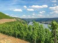 Foto - Spezialgewerbe in Bingen am Rhein 1.400.000,00 €