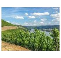 Spezialgewerbe in Bingen am Rhein 1.400.000,00 €
